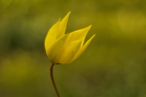 DSC04586