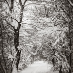 Winter in Lippe