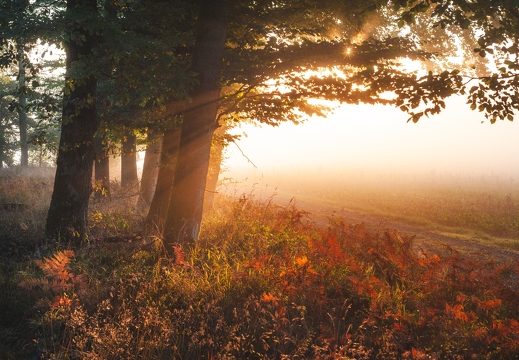 Herbst