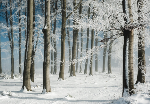 Zwischen Licht und Landschaft