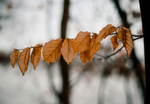 Leise – und doch voller Stimmen.