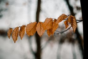 Leise – und doch voller Stimmen.