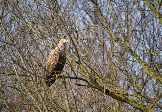 20260307 121022 HB-02