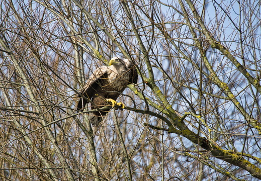 20260307 121026 HB-01