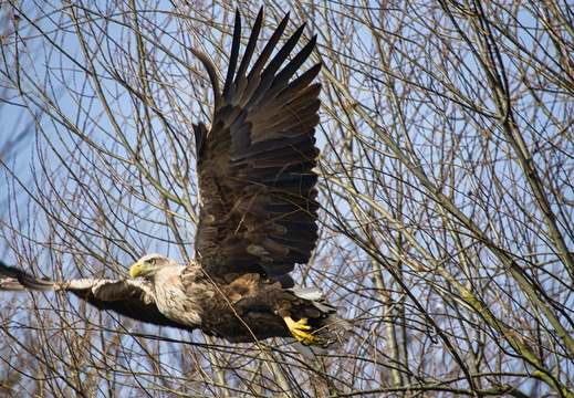 20260307 121026 HB-02