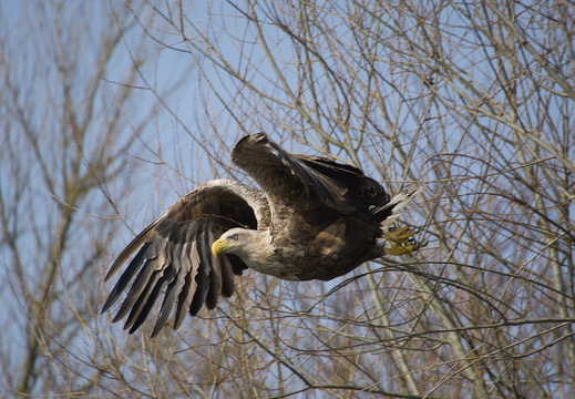 20260307 121026 HB-03