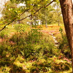 Bergheide16 Original